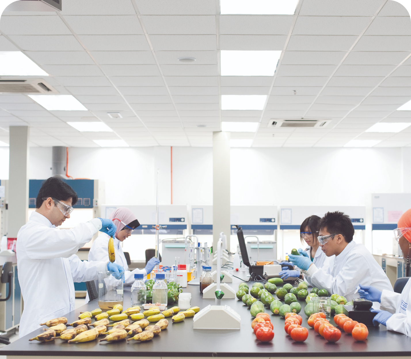 Food processing center